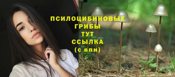 прущие крисы Козельск