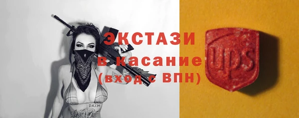 прущие грибы Корсаков