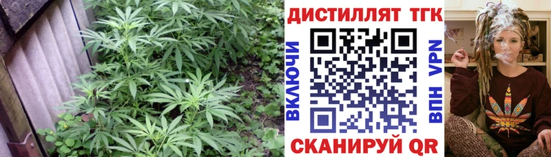 где купить наркоту  Енисейск  Дистиллят ТГК THC oil 