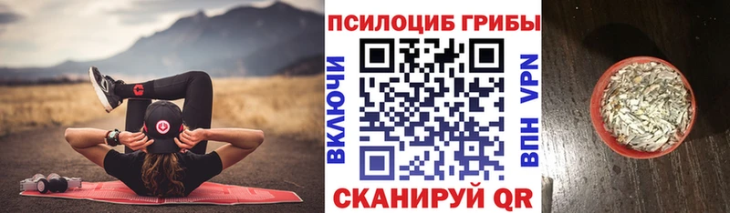 Псилоцибиновые грибы MAGIC MUSHROOMS  Енисейск 